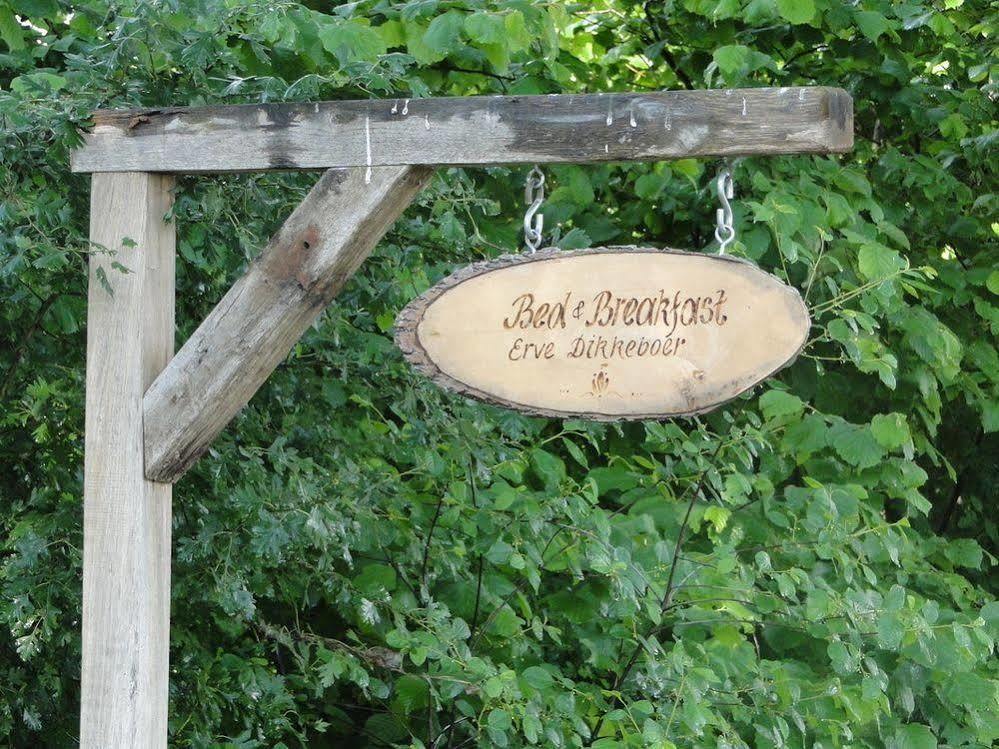 Erve Dikkeboer Bed & Breakfast Bathmen Exterior photo